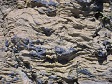 Ocean Rock Texture (3).jpg